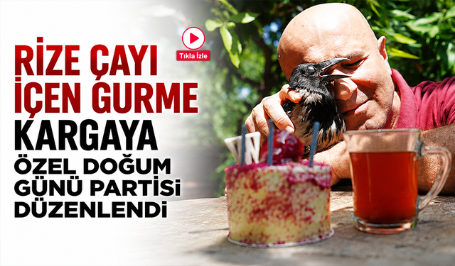 Rize çayı içen gurme kargaya özel doğum günü partisi