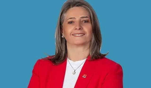 Suiçmez’den flaş açıklama! Lozan Sevr paçavrasını tarihin çöplüğüne göndermiştir