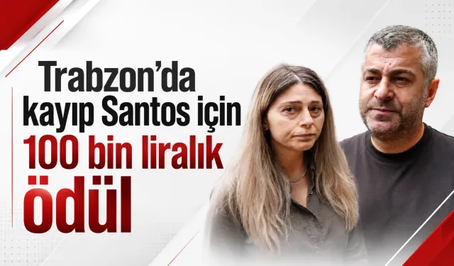 Trabzon’da kayıp Santos için 100 bin liralık ödül