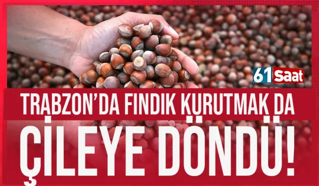 Trabzon’da fındık kurutmak çileye döndü!