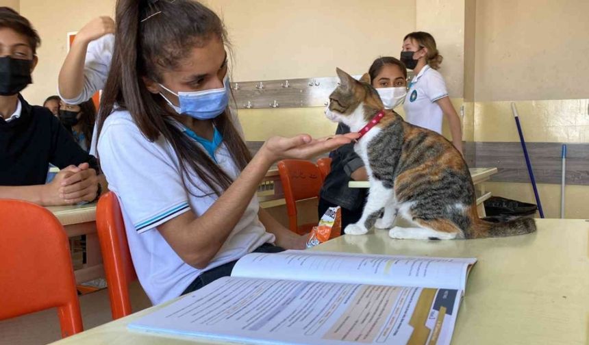 Bu okulda çocuklara hayvan sevgisi aşılanıyor