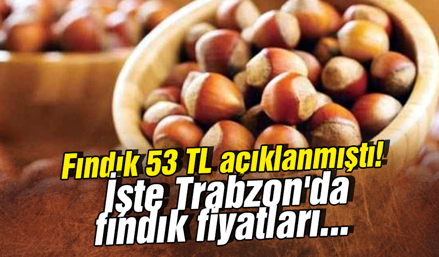 Fındık 53 TL açıklanmıştı! İşte Trabzon'da fındık fiyatları...