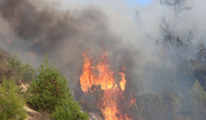 ERZİNCAN - Tarihi ahşap evlerde çıkan yangın söndürüldü