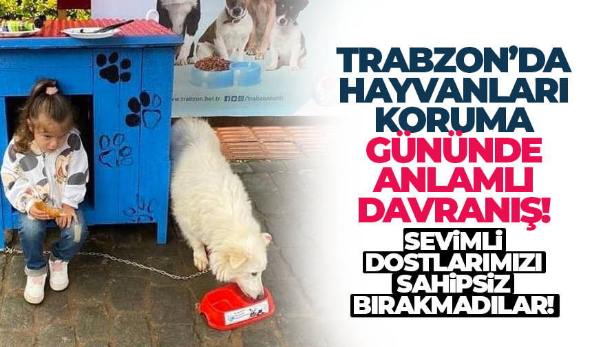 Trabzon'da Hayvanları Koruma Gününde, anlamlı davranış...