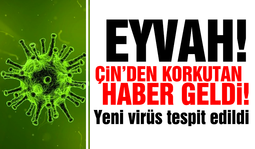 Korkutan haber! Çin’de yeni virüs tespit edildi