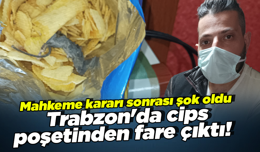Trabzon'da cips poşetinden fare çıktı! Mahkeme kararı sonrası şok oldu