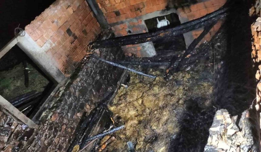 İtfaiye ekipleri bir günde 318 olaya müdahale etti