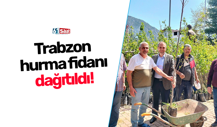 Trabzon hurma fidanı dağıtıldı!
