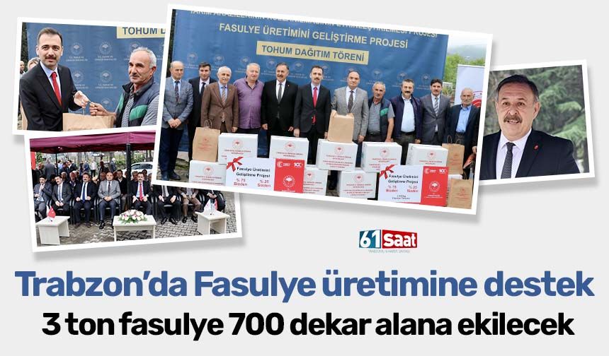 Trabzon'da 3 ton fasulye tohumu 700 dekar alana ekilecek