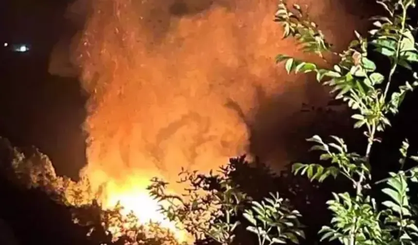 Yalova'da orman yangını çıktı!
