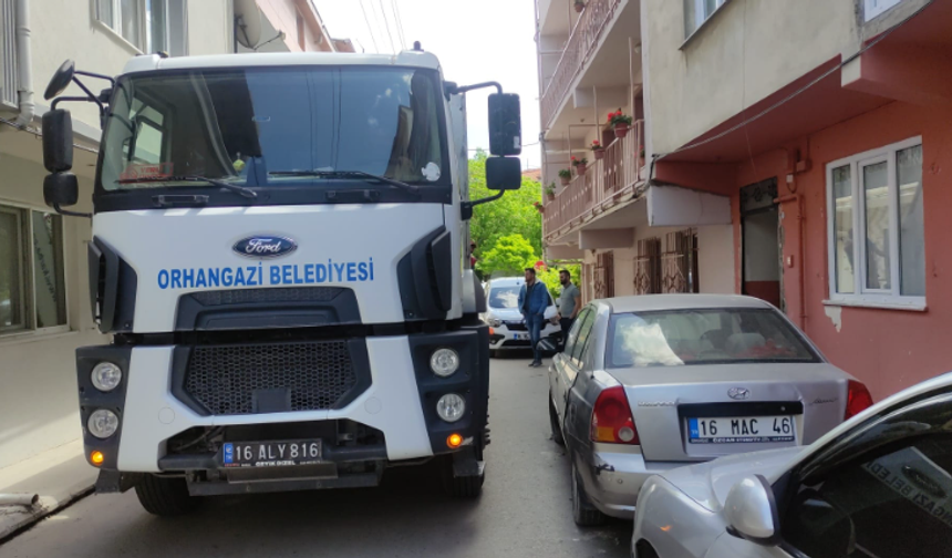Bursa'da ayıyı parçalayıp çöpe attılar!