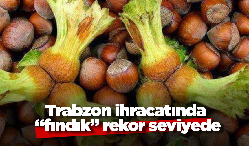 Trabzon ihracat rakamlarında "fındık" rekor kırdı