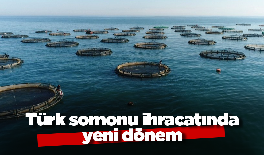 Türk somonu ihracatında yeni hedef
