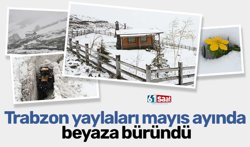 Trabzon yaylaları mayısta beyaza büründü
