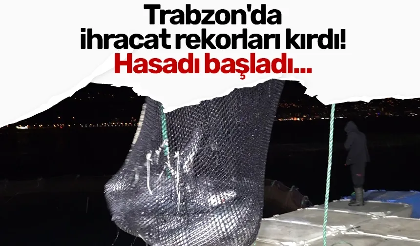 Trabzon'da ihracat rekorları kırdı! Hasadı başladı...