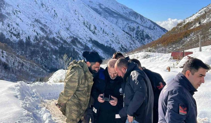 Ayı saldırdığı için ahırdan kaçan sürü 20 gündür Rize’nin karlı dağlarında aranıyor