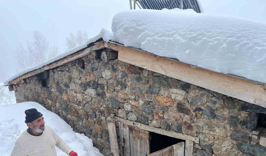 Artvin’in Bıçakçılar köyünde kış zorluklarla geçiyor: Kar kalınlığı 3 metreyi aştı