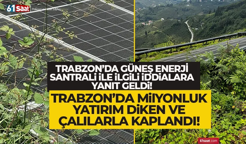 Trabzon'da milyonluk yatırım, diken ve çalılarla kaplandı...