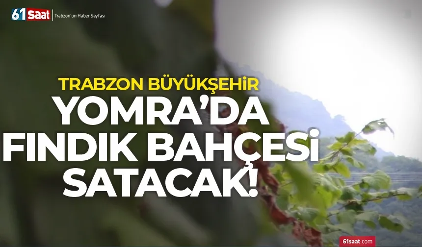 Trabzon'da Büyükşehir Fındık Bahçesi satacak!