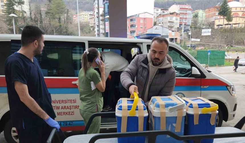 Giresun’da beyin ölümü gerçekleşen tiyatro sanatçısının organları 4 kişiye umut oldu