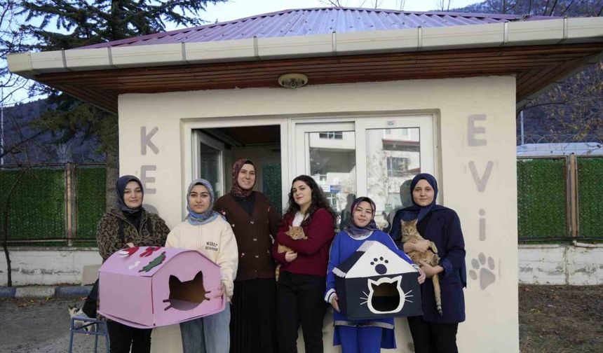 Gümüşhane’de öğrenci yurdunun güvenlik kulübesi kedilere yurt oldu