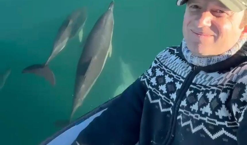 Rizeli balıkçı teknesinin yoldaşı yunus balıkları oldu