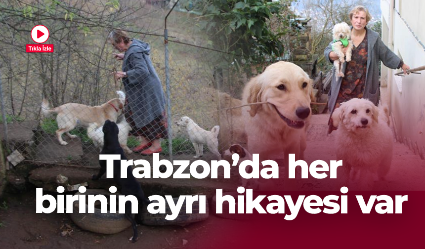 Trabzon’da her birinin ayrı hikayesi var