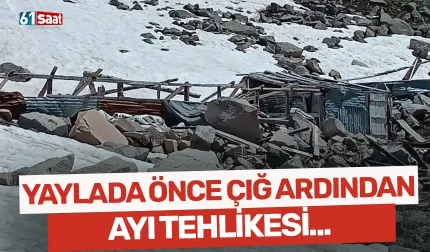 Yaylada çığın ardından sağlam kalan yapılara da ayılar zarar verdi!