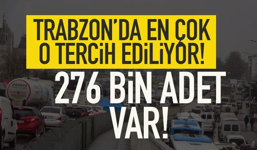 Trabzon'da vatandaşlar en çok onu tercih ediyor... 276 bin adet var...