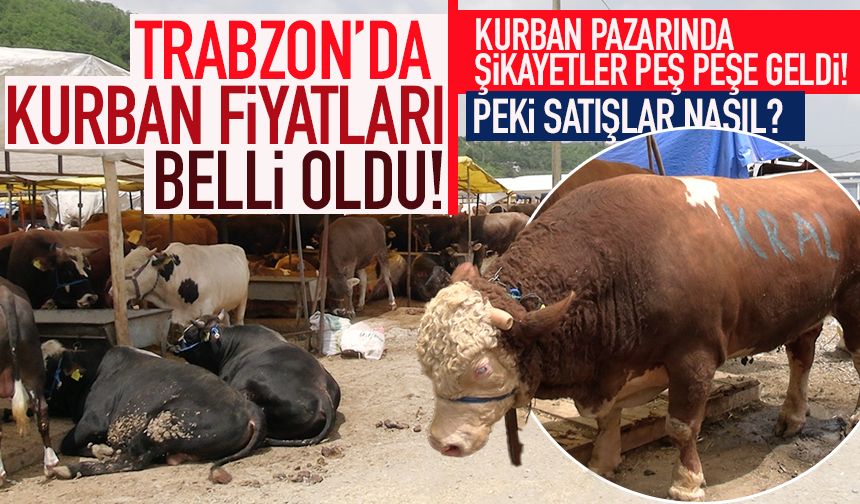 Trabzon'da Kurban Pazarında fiyatlar belli oldu! Şikayetler peş peşe geldi...