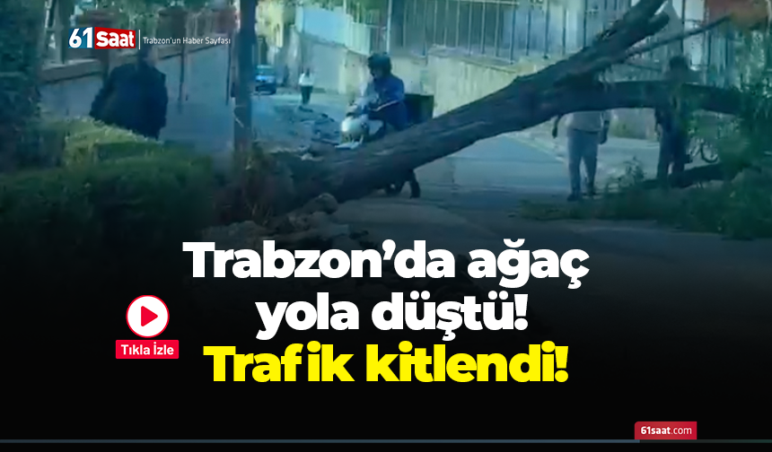 Trabzon’da ağaç yola düştü! Trafik kitlendi!