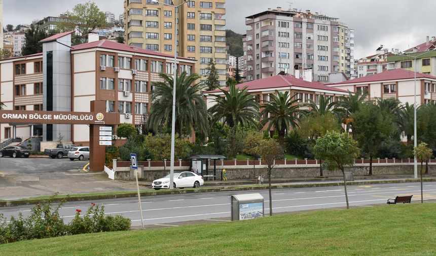 Trabzon Orman İşletme Müdürlüğü, 3 adet aracı açık ihale usulü satacak