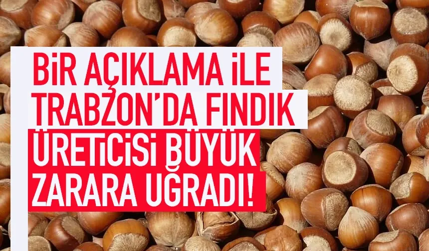 Bir açıklama Trabzon'da fındık üreticisini büyük zarara uğrattı!