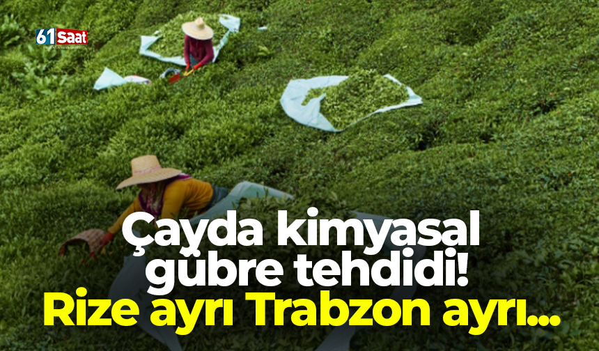 Çayda kimyasal gübre tehdidi! Rize ayrı Trabzon ayrı...