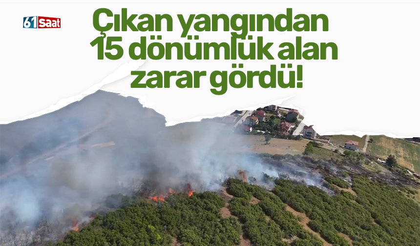 Çıkan yangından 15 dönümlük alan zarar gördü!