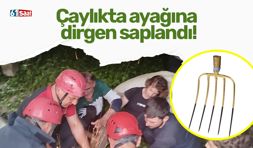 Çaylıkta ayağına dirgen saplandı!