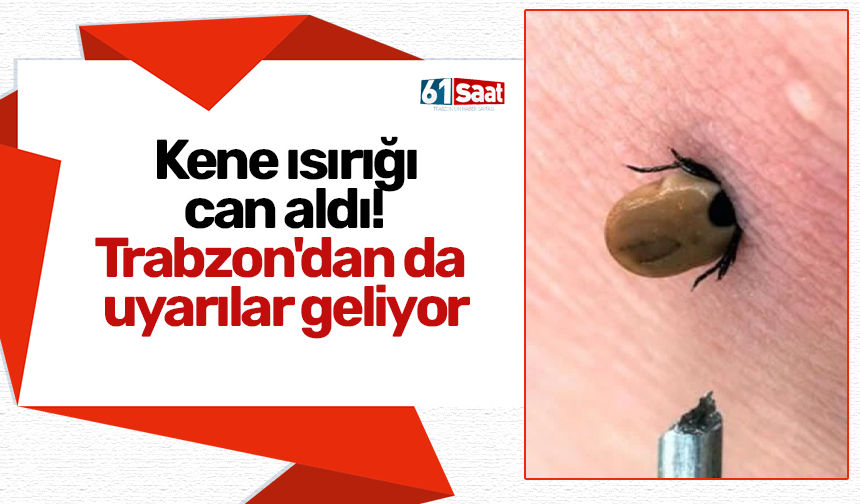Kene ısırığı can aldı! Trabzon'dan da uyarılar geliyor