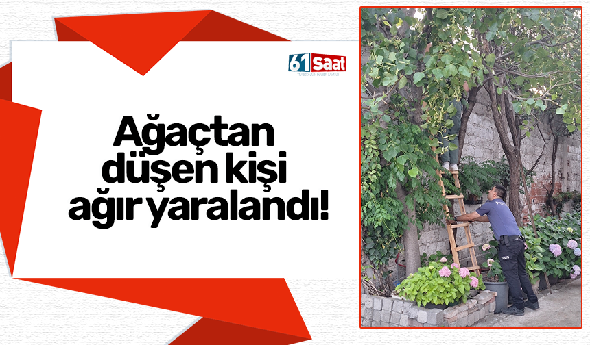 Ağaçtan düşen kişi ağır yaralandı!