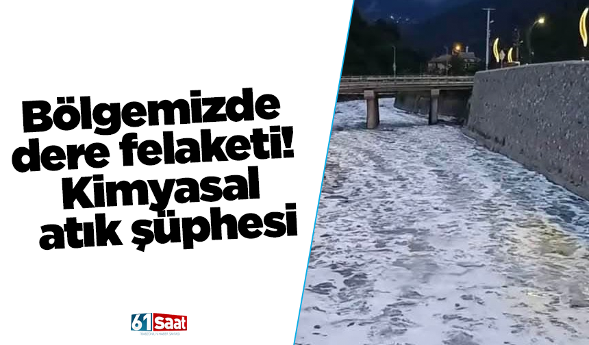 Bölgemizde dere felaketi! Kimyasal atık şüphesi