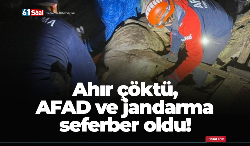 Ahır çöktü, AFAD ve jandarma seferber oldu!