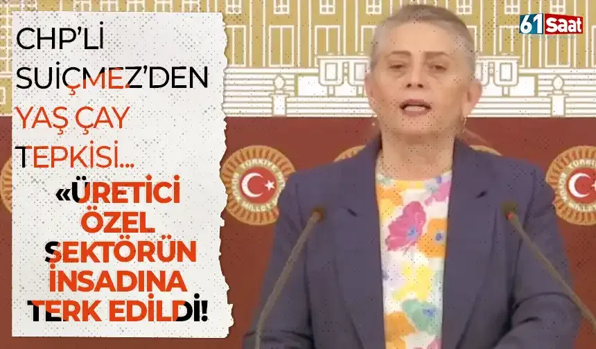 CHP'den yaş çay fiyatına tepki: "Üretici özel sektörün insafına terk edildi"