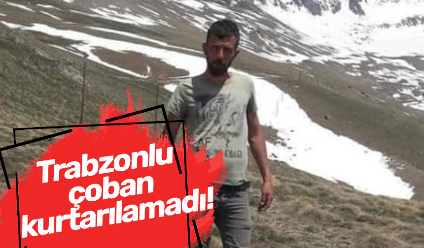 Trabzonlu çoban kurtarılamadı!