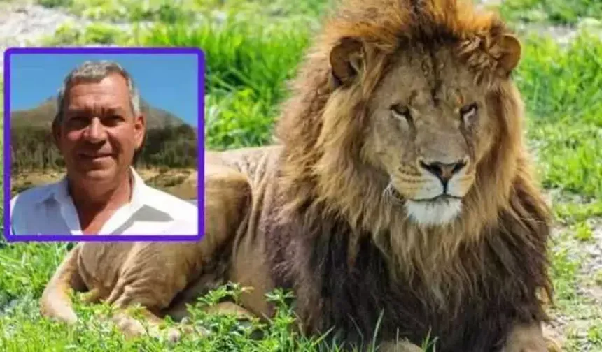 İşadamı safari kampında aslan saldırısıyla hayatını kaybetti