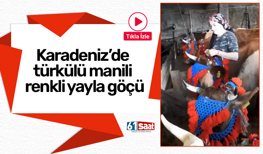 Karadeniz’de türkülü manili renkli yayla göçü