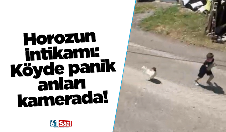Horozun intikamı: Köyde panik anları kamerada!