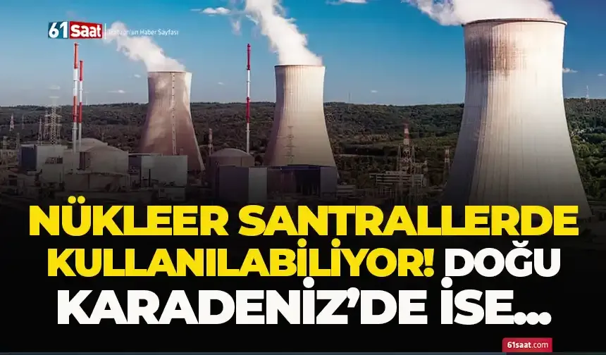 Nükleer santrallerde kullanılabiliyor! Doğu Karadeniz'de bolca var...