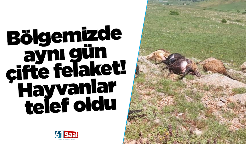Bölgemizde aynı gün çifte felaket! Hayvanlar telef oldu