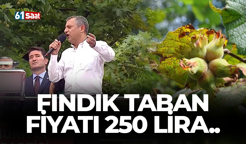 Fındık taban fiyatı 250 lira…