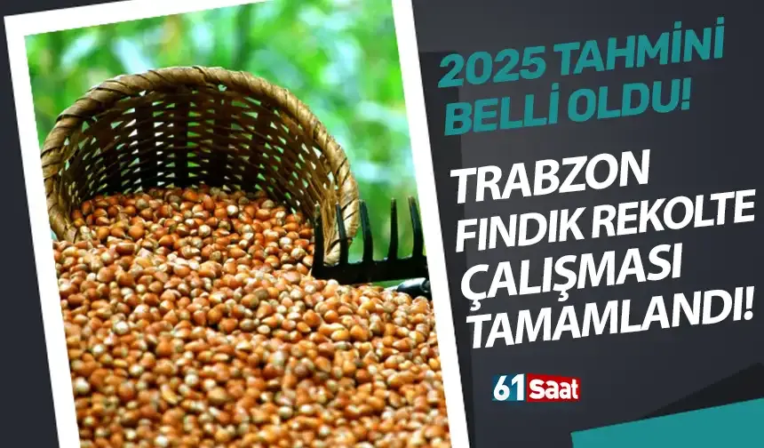 Trabzon fındık rekolte çalışması tamamlandı.. 2025 tahmini belirlendi...