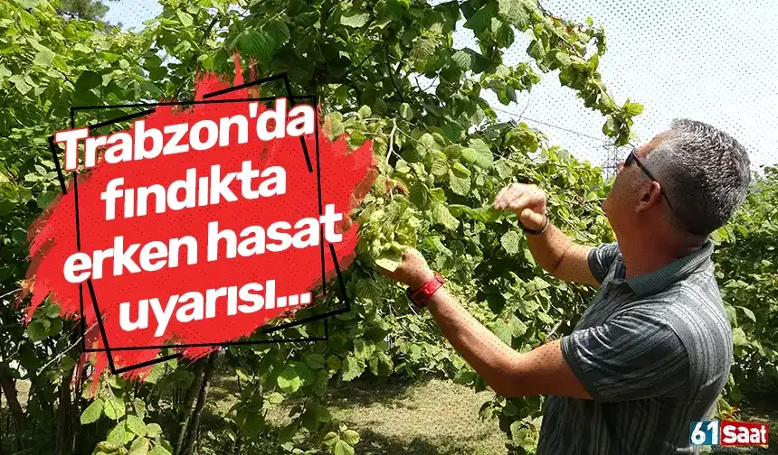 Trabzon'da fındıkta erken hasat uyarısı...
